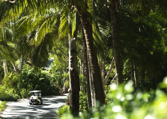 Palm Bungalows